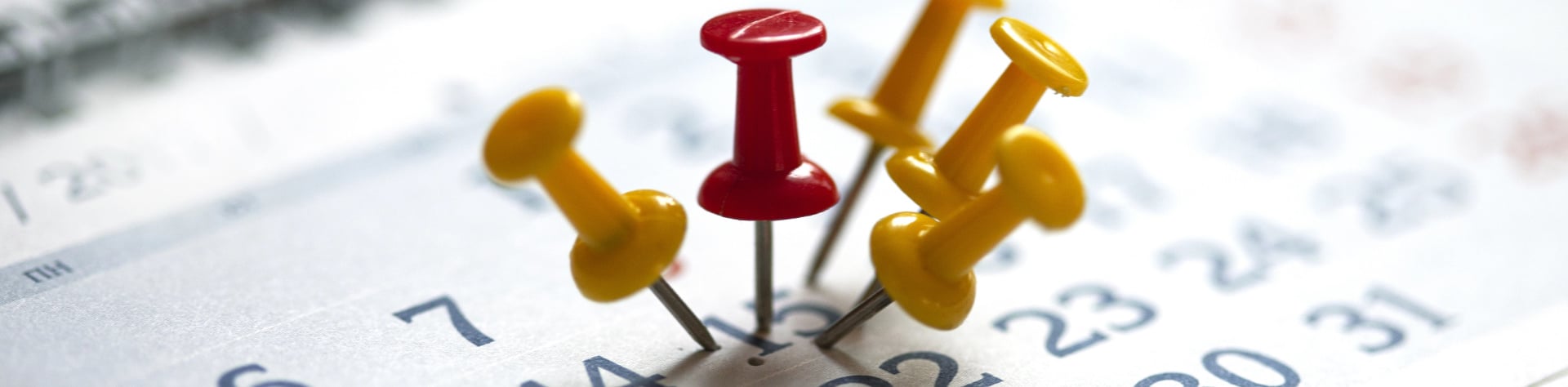 Aligning Your Project Activities with Observances - Case Study