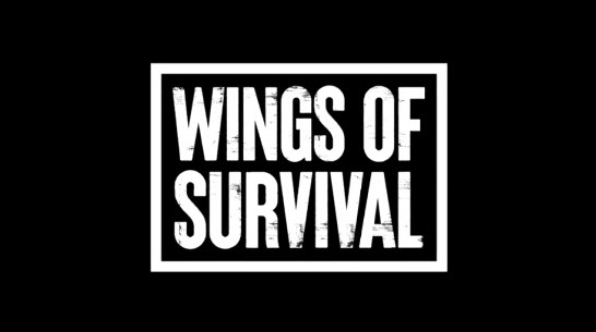 Wings of Survival - Video Thumbnail - 2026